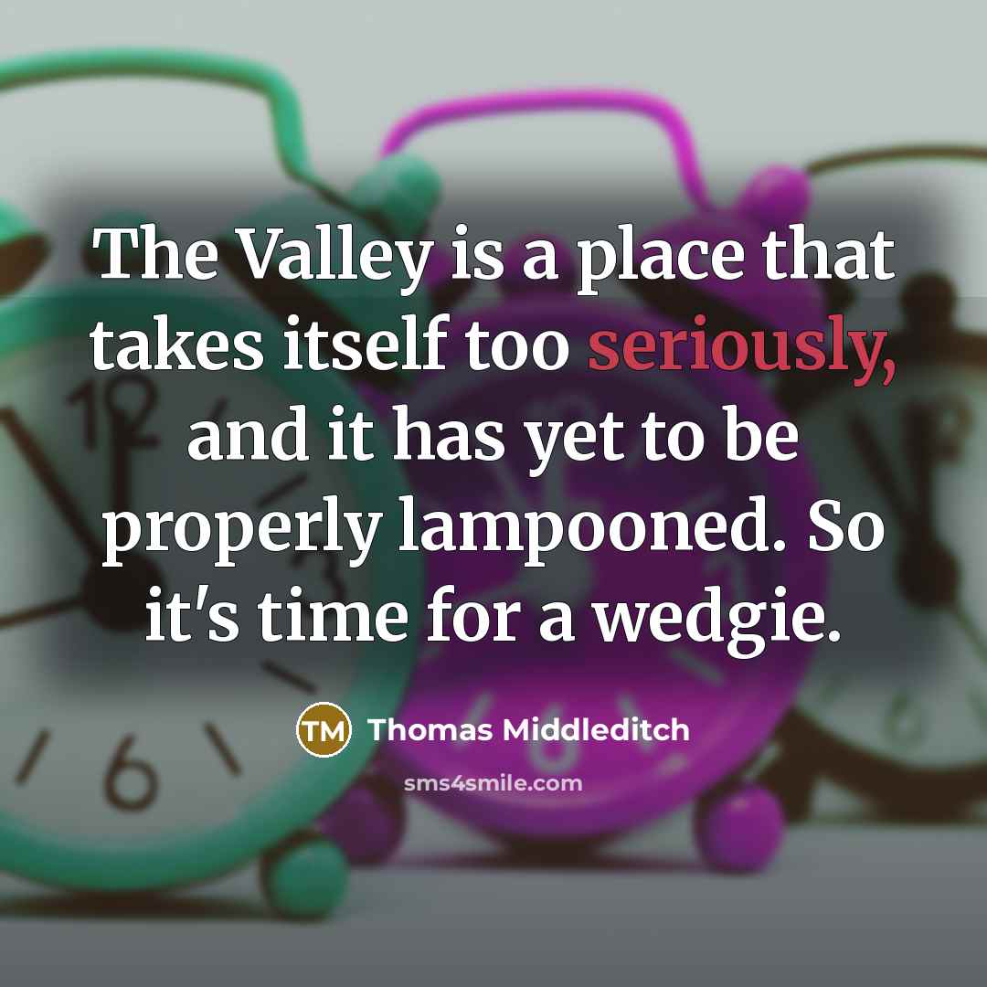 “The Valley is a place that takes itself too seriously, and it has yet to be properly lampooned. So it's time for a wedgie.” quote by Thomas Middleditch