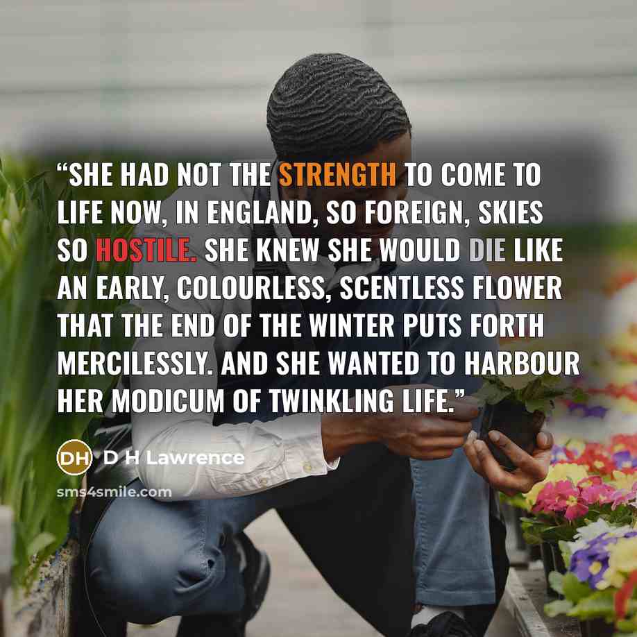 “She had not the strength to come to life now, in England, so foreign, skies so hostile. She knew she would die like an early, colourless, scentless flower that the end of the winter puts forth mercilessly. And she wanted to harbour her modicum of twinkling life.” quote by D H Lawrence