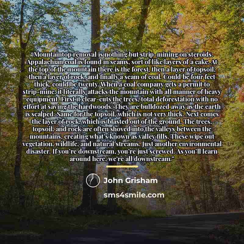 “Mountaintop removal is nothing but strip-mining on steroids. Appalachian coal is found in seams, sort of like layers of a cake. At the top of the mountain there is the forest, then a layer of topsoil, then a layer of rock, and finally a seam of coal. Could be four feet thick, could be twenty. When…” quote by John Grisham