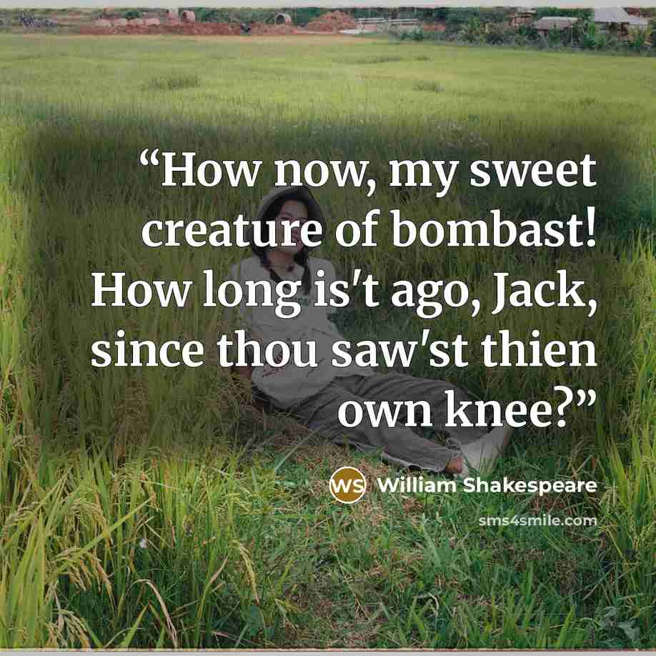 “How now, my sweet creature of bombast! How long is't ago, Jack, since thou saw'st thien own knee?” quote by William Shakespeare