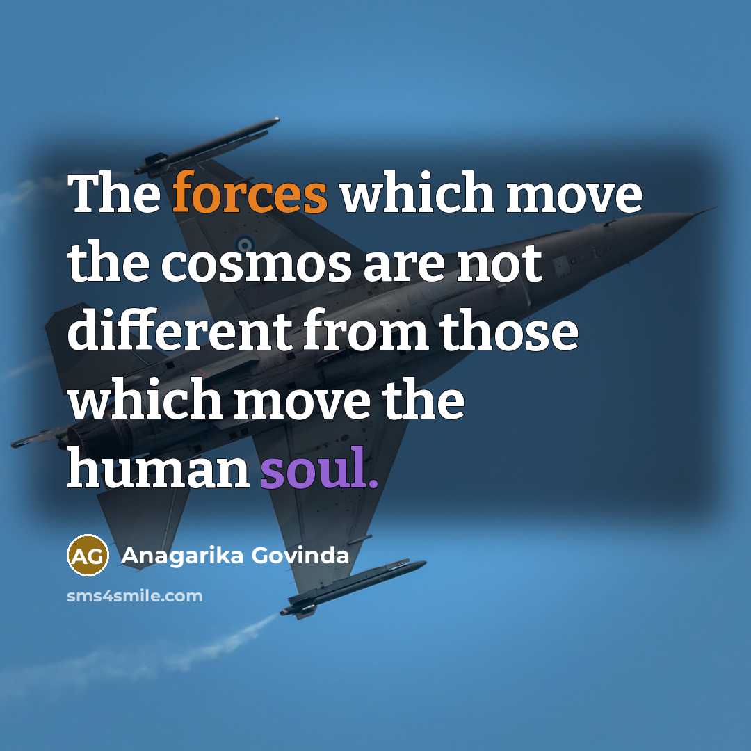 “The forces which move the cosmos are not different from those which move the human soul.” quote by Anagarika Govinda
