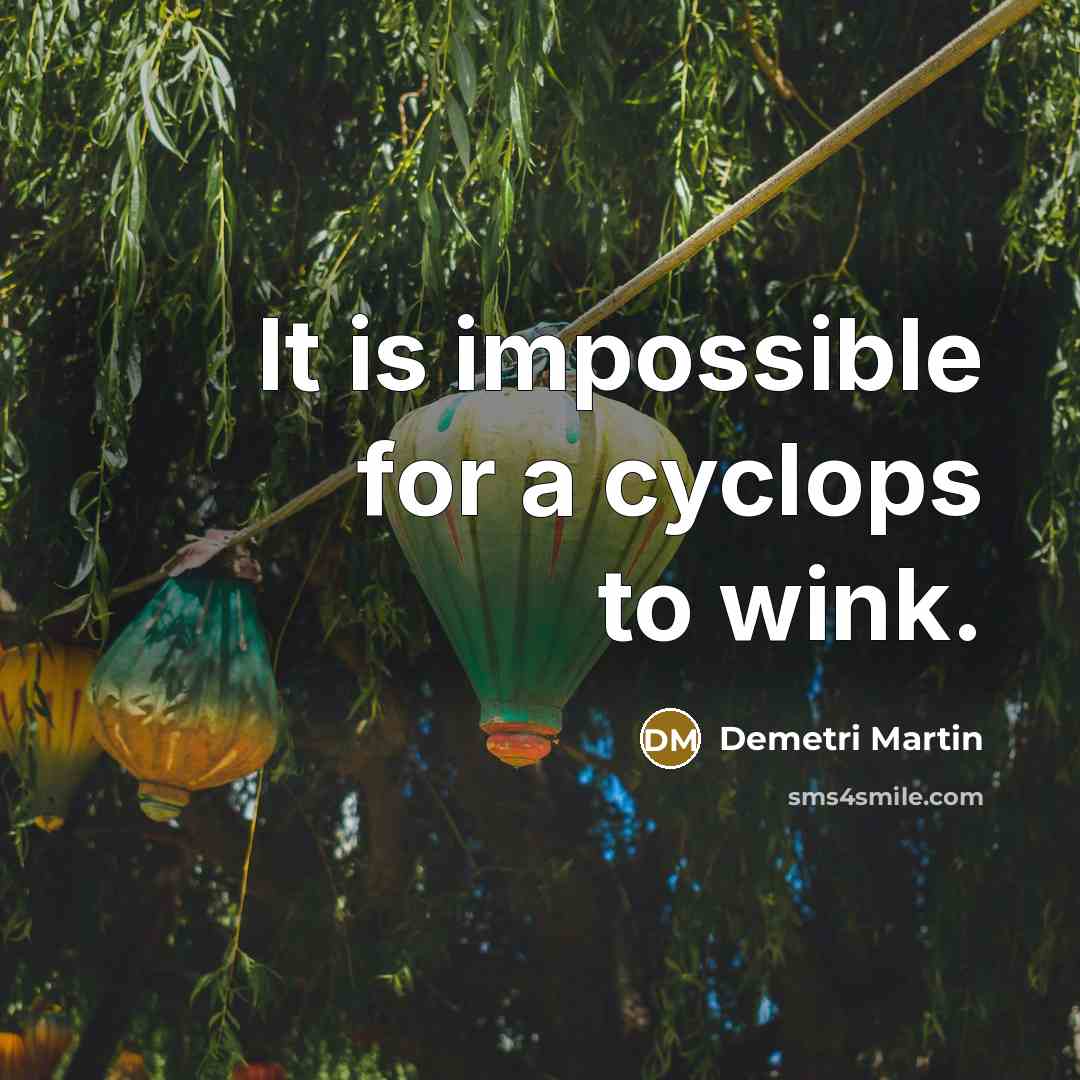 “It is impossible for a cyclops to wink.” quote by Demetri Martin
