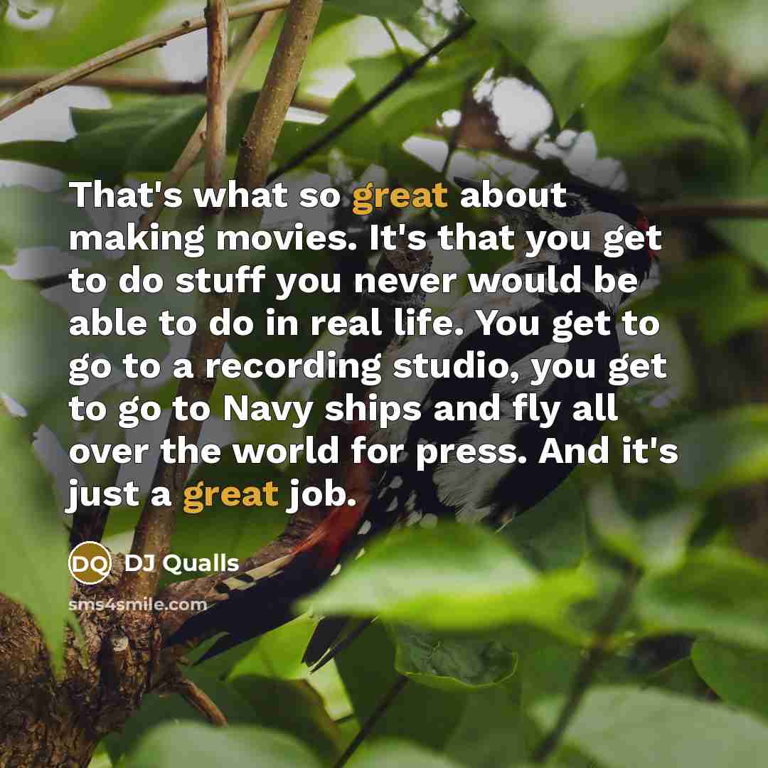 “That's what so great about making movies. It's that you get to do stuff you never would be able to do in real life. You get to go to a recording studio, you get to go to Navy ships and fly all over the world for press. And it's just a great job.” quote by DJ Qualls