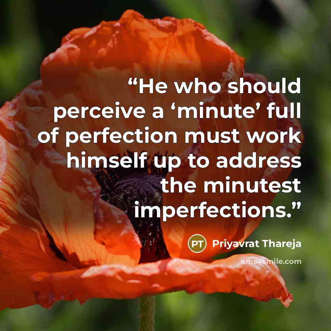 “He who should perceive a ‘minute’ full of perfection must work himself up to address the minutest imperfections.” quote by Priyavrat Thareja