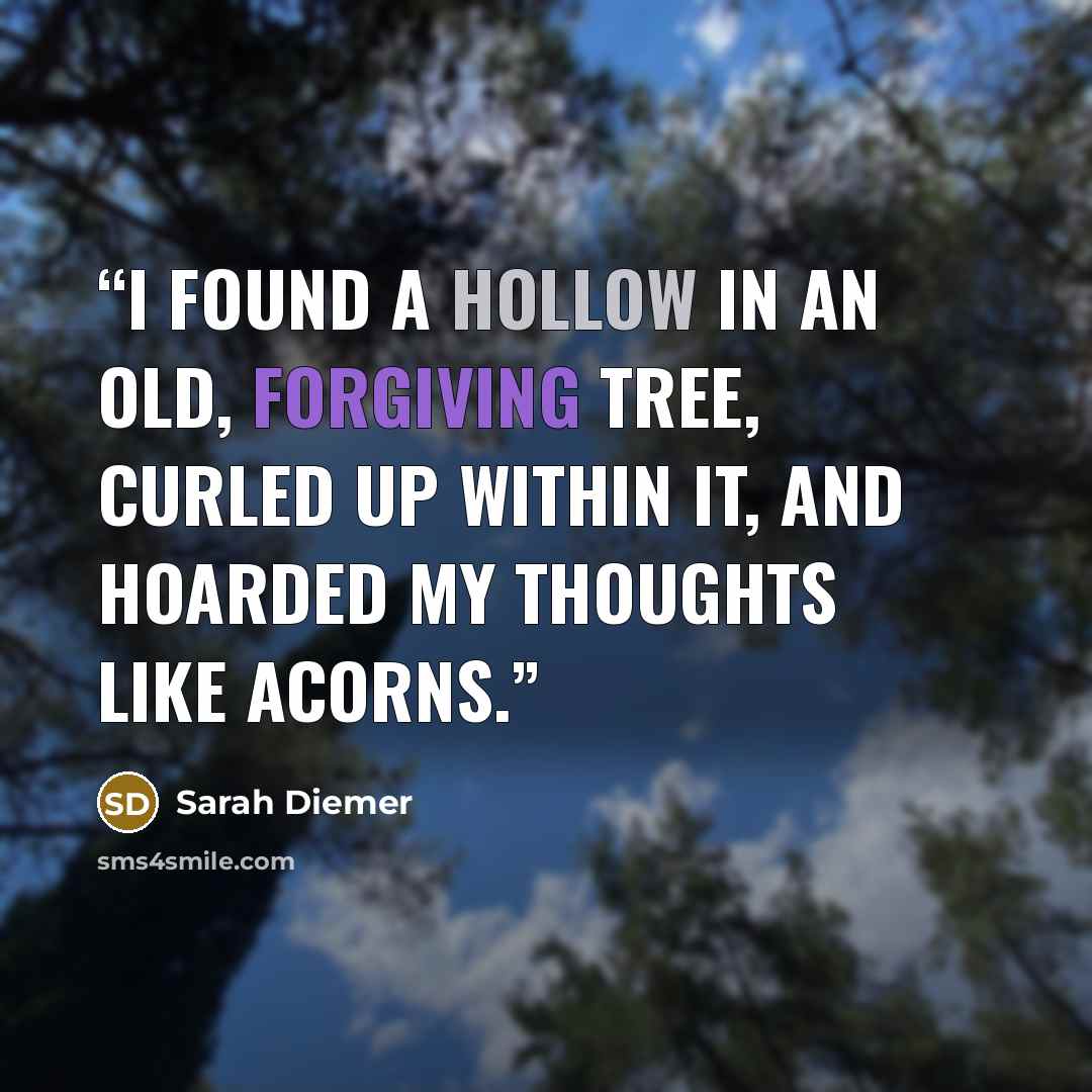 “I found a hollow in an old, forgiving tree, curled up within it, and hoarded my thoughts like acorns.” quote by Sarah Diemer