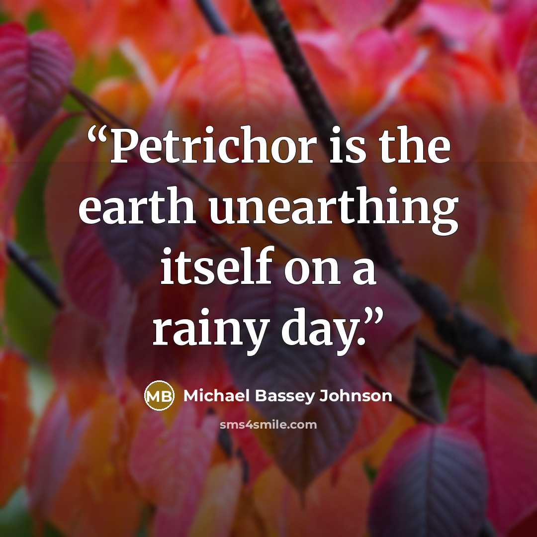 “Petrichor is the earth unearthing itself on a rainy day.” quote by Michael Bassey Johnson