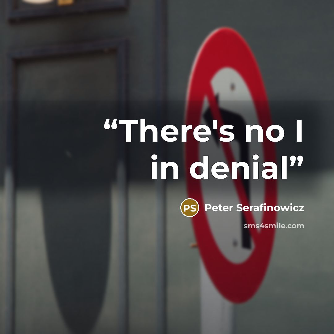 “There's no I in denial” quote by Peter Serafinowicz