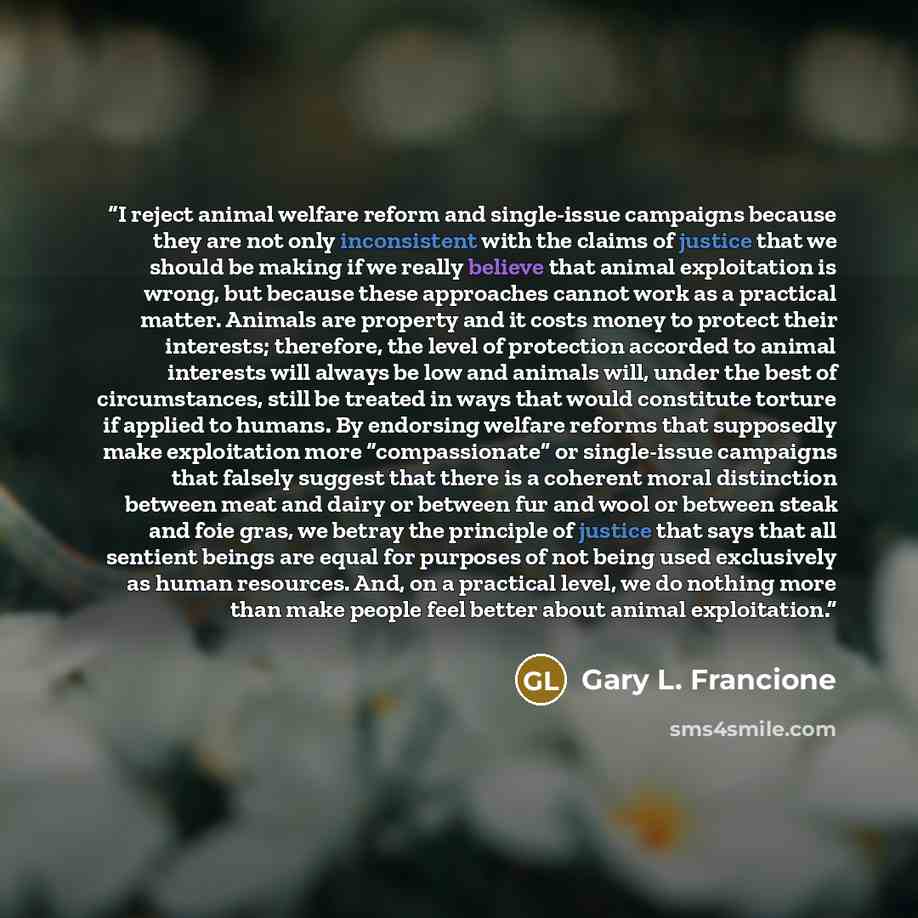 “I reject animal welfare reform and single-issue campaigns because they are not only inconsistent with the claims of justice that we should be making if we really believe that animal exploitation is wrong, but because these approaches cannot work as a practical matter. Animals are property and it…” quote by Gary L. Francione
