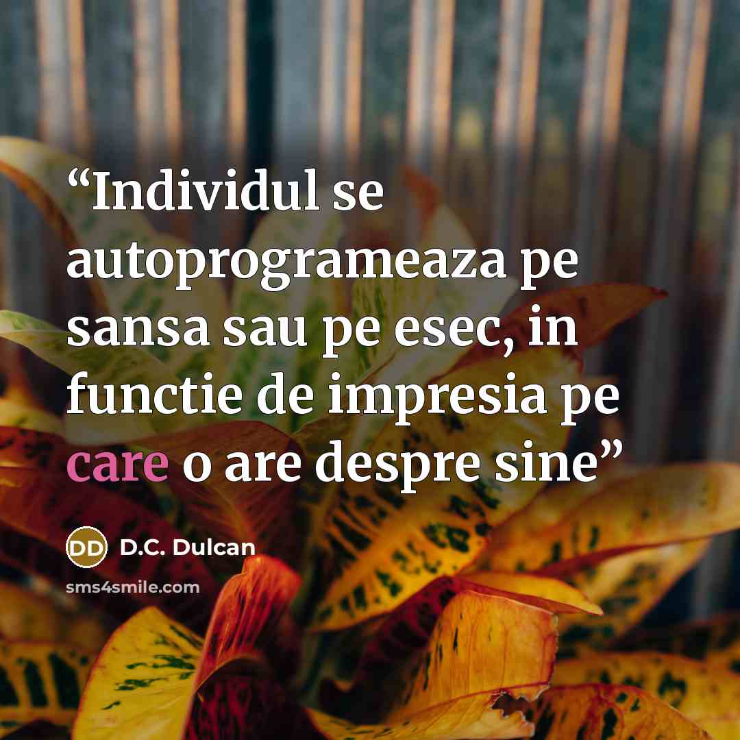 “Individul se autoprogrameaza pe sansa sau pe esec, in functie de impresia pe care o are despre sine” quote by D.C. Dulcan
