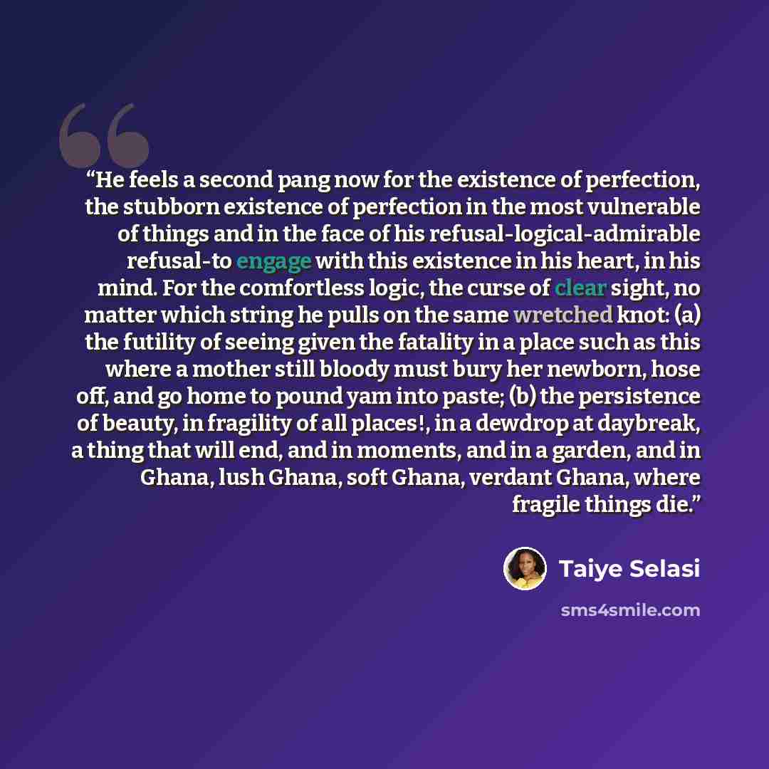 “He feels a second pang now for the existence of perfection, the stubborn existence of perfection in the most vulnerable of things and in the face of his refusal-logical-admirable refusal-to engage with this existence in his heart, in his mind. For the comfortless logic, the curse of clear sight…” quote by Taiye Selasi