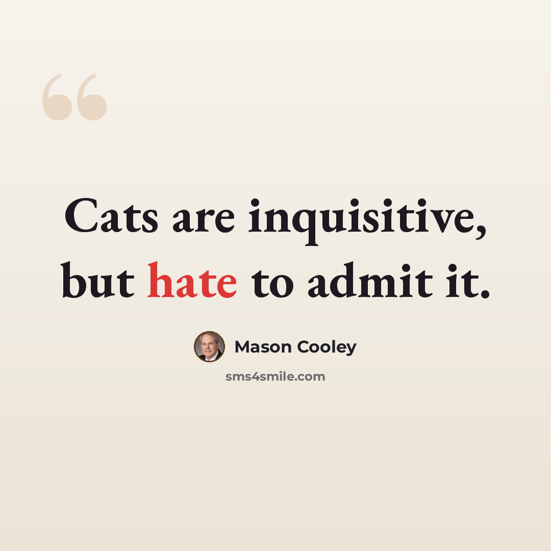 “Cats are inquisitive, but hate to admit it.” quote by Mason Cooley