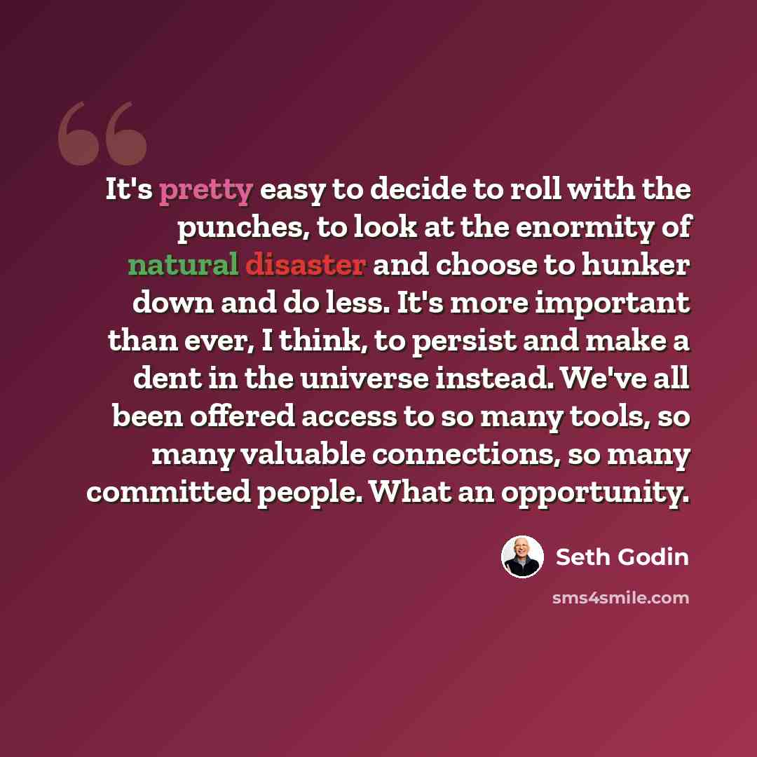“It's pretty easy to decide to roll with the punches, to look at the enormity of natural disaster and choose to hunker down and do less. It's more important than ever, I think, to persist and make a dent in the universe instead. We've all been offered access to so many tools, so many valuable…” quote by Seth Godin