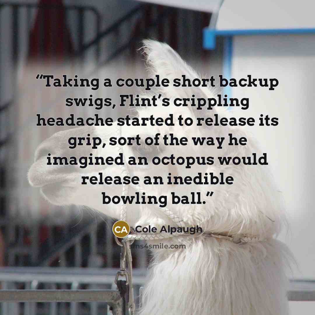 “Taking a couple short backup swigs, Flint’s crippling headache started to release its grip, sort of the way he imagined an octopus would release an inedible bowling ball.” quote by Cole Alpaugh