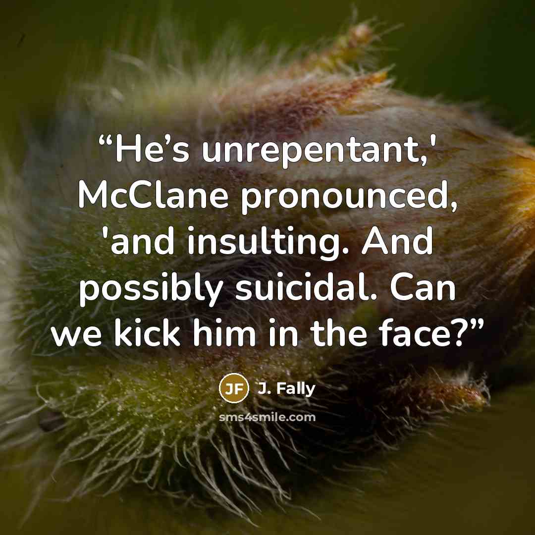 “He’s unrepentant,' McClane pronounced, 'and insulting. And possibly suicidal. Can we kick him in the face?” quote by J. Fally