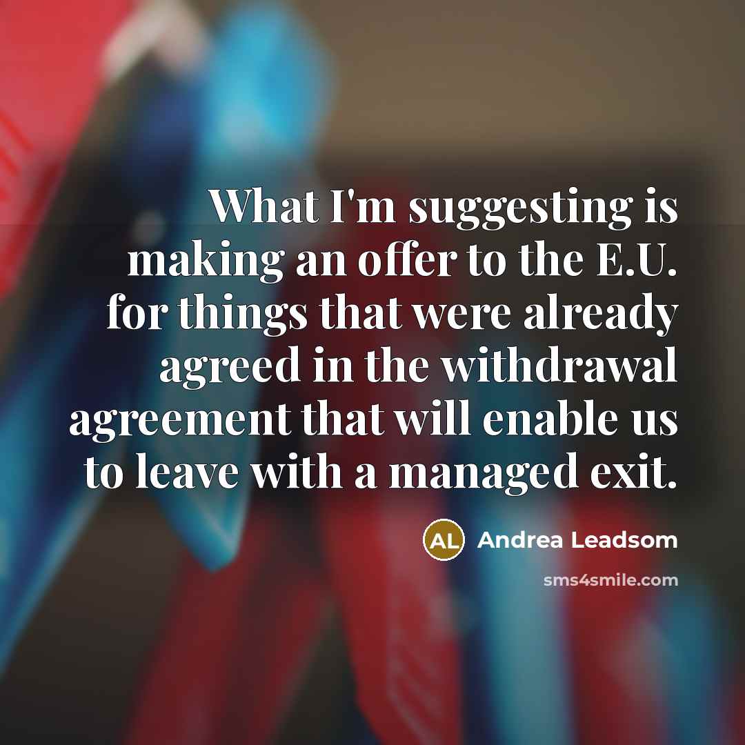 “What I'm suggesting is making an offer to the E.U. for things that were already agreed in the withdrawal agreement that will enable us to leave with a managed exit.” quote by Andrea Leadsom