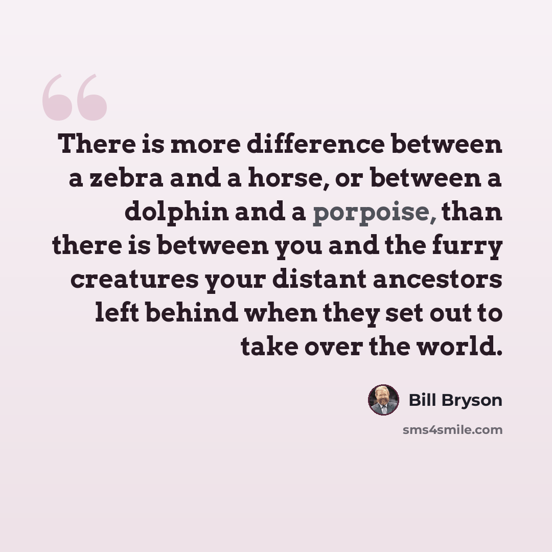 “There is more difference between a zebra and a horse, or between a dolphin and a porpoise, than there is between you and the furry creatures your distant ancestors left behind when they set out to take over the world.” quote by Bill Bryson