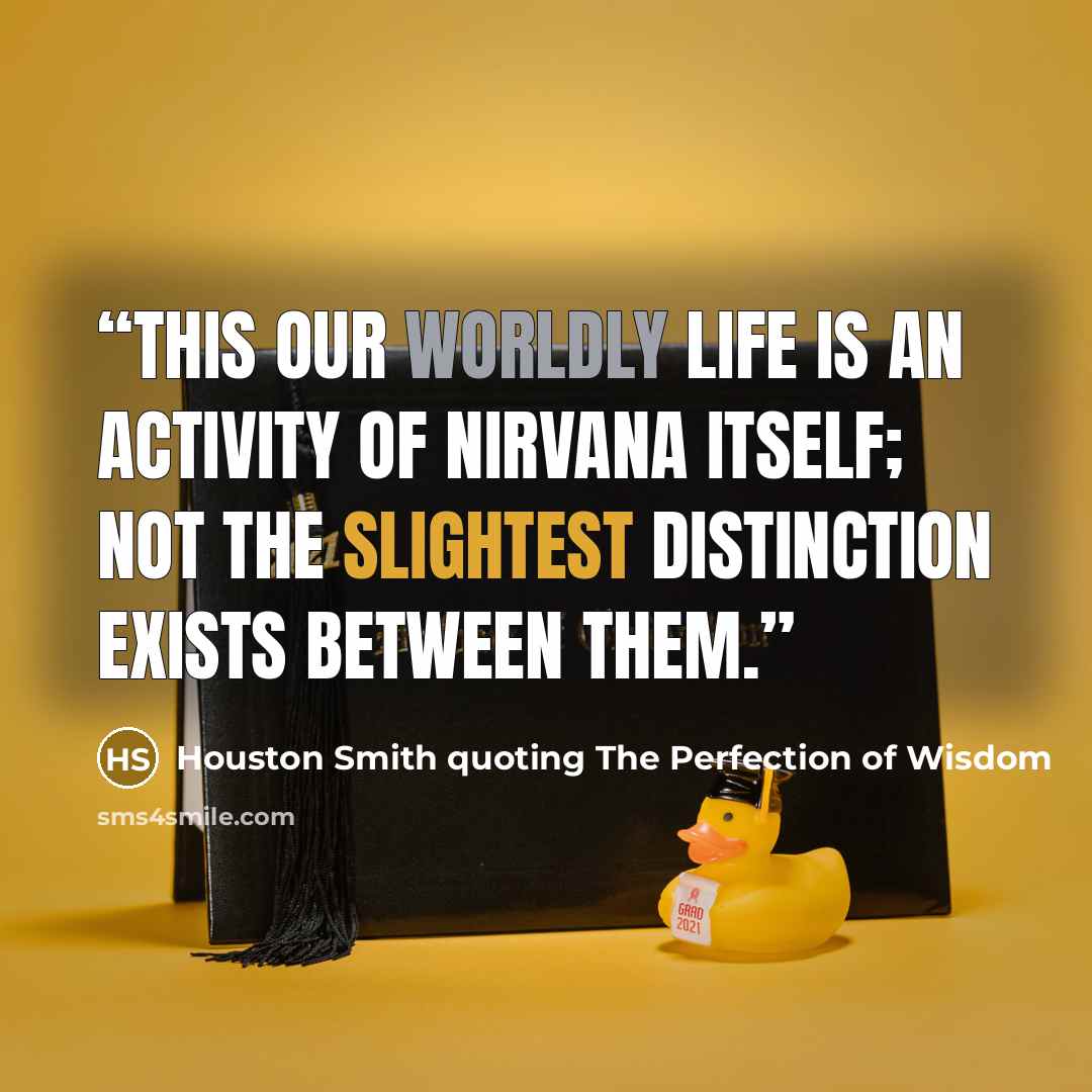 “This our worldly life is an activity of Nirvana itself; not the slightest distinction exists between them.” quote by Houston Smith quoting The Perfection of Wisdom