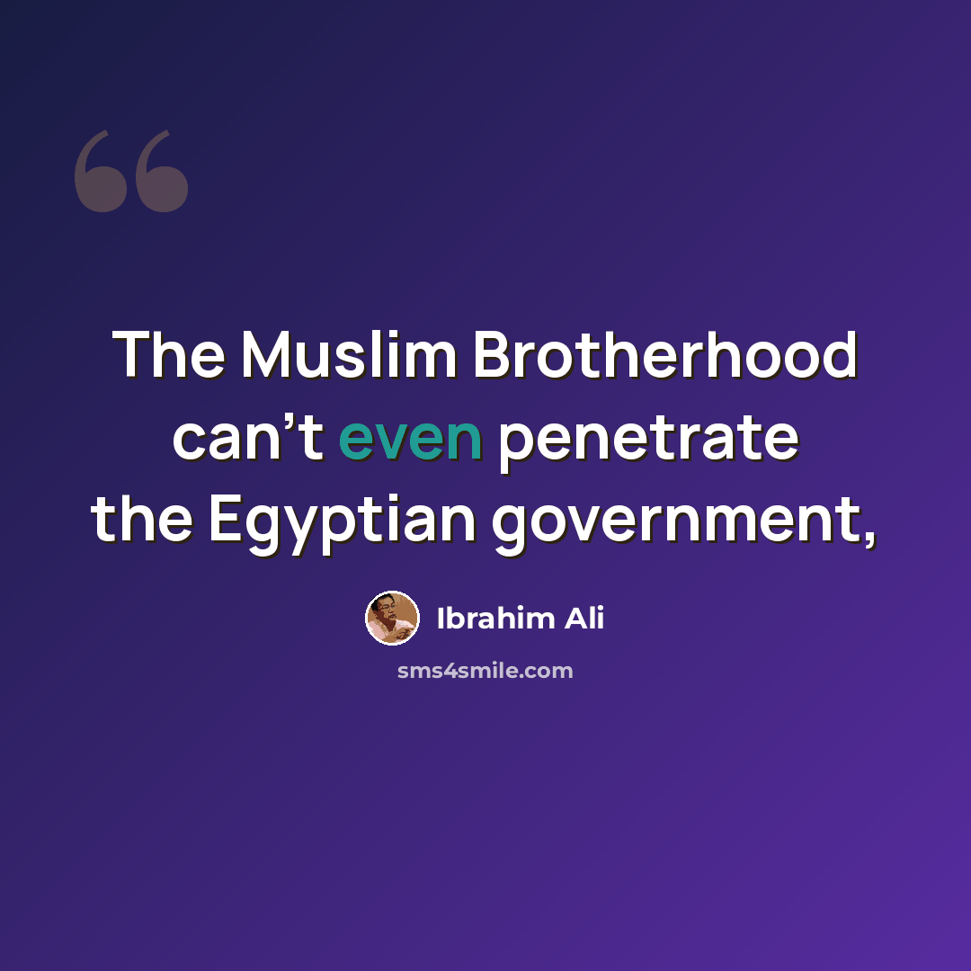 “The Muslim Brotherhood can't even penetrate the Egyptian government,” quote by Ibrahim Ali