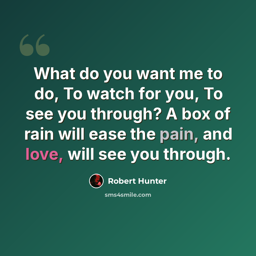 “What do you want me to do, To watch for you, To see you through? A box of rain will ease the pain, and love, will see you through.” quote by Robert Hunter