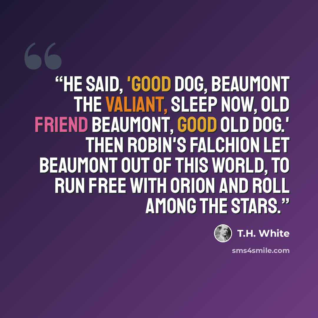“He said, 'Good dog, Beaumont the valiant, sleep now, old friend Beaumont, good old dog.' Then Robin's falchion let Beaumont out of this world, to run free with Orion and roll among the stars.” quote by T.H. White
