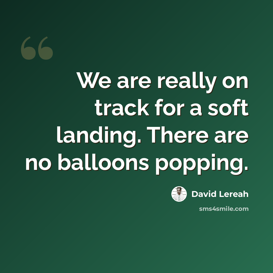 “We are really on track for a soft landing. There are no balloons popping.” quote by David Lereah
