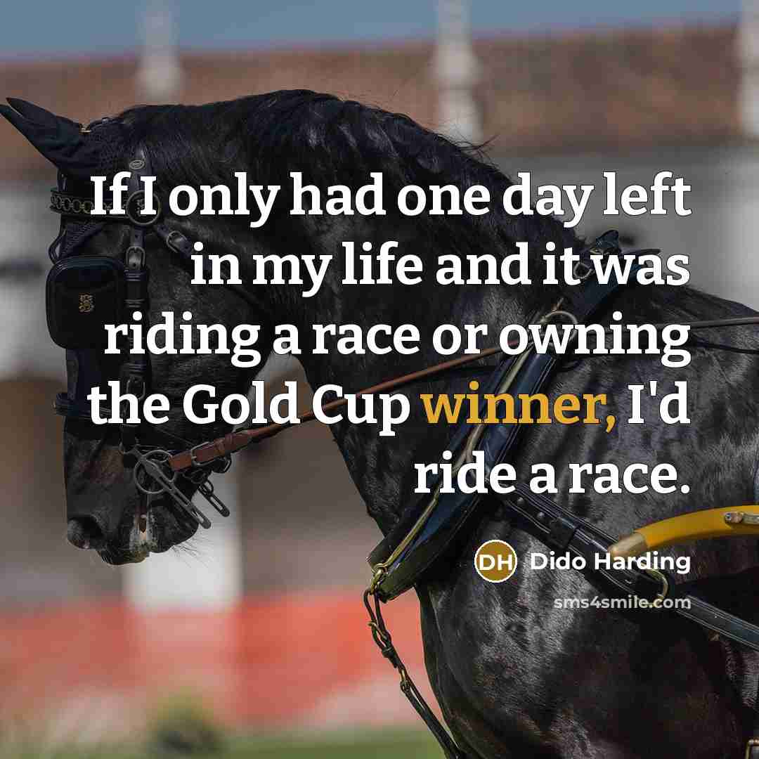 “If I only had one day left in my life and it was riding a race or owning the Gold Cup winner, I'd ride a race.” quote by Dido Harding