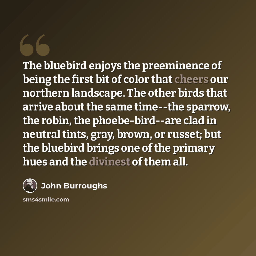 “The bluebird enjoys the preeminence of being the first bit of color that cheers our northern landscape. The other birds that arrive about the same time--the sparrow, the robin, the phoebe-bird--are clad in neutral tints, gray, brown, or russet; but the bluebird brings one of the primary hues and…” quote by John Burroughs