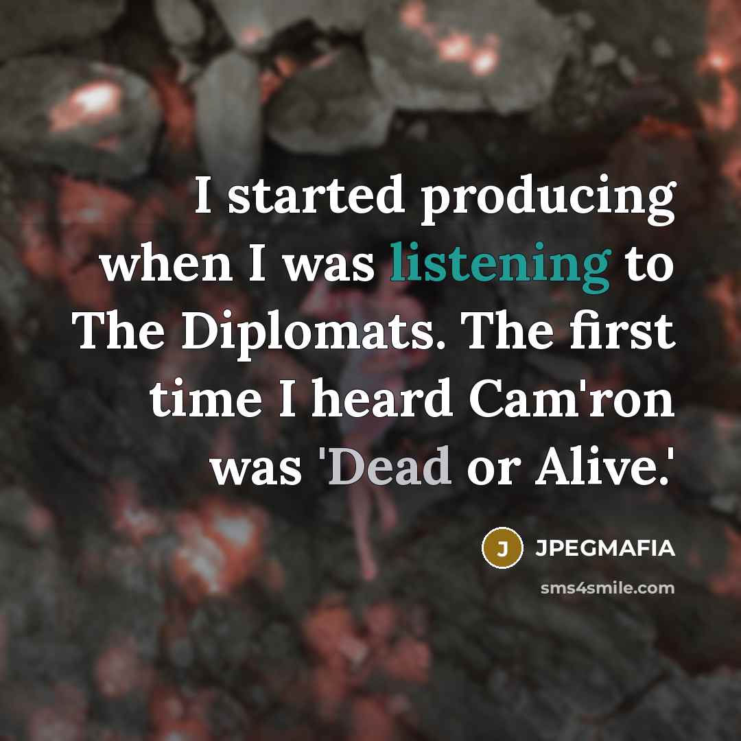 “I started producing when I was listening to The Diplomats. The first time I heard Cam'ron was 'Dead or Alive.'” quote by JPEGMAFIA