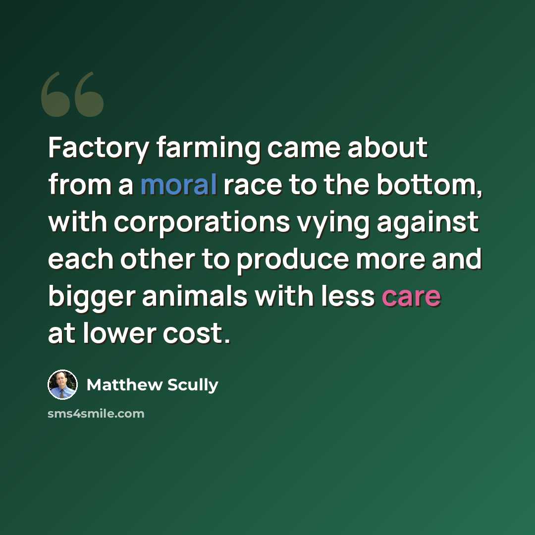 “Factory farming came about from a moral race to the bottom, with corporations vying against each other to produce more and bigger animals with less care at lower cost.” quote by Matthew Scully