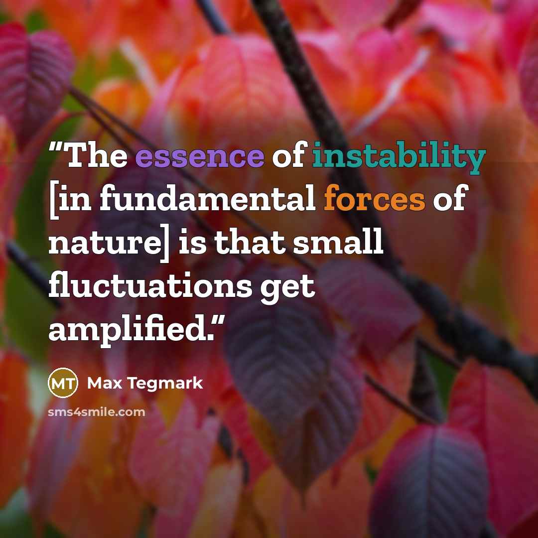 “The essence of instability [in fundamental forces of nature] is that small fluctuations get amplified.” quote by Max Tegmark