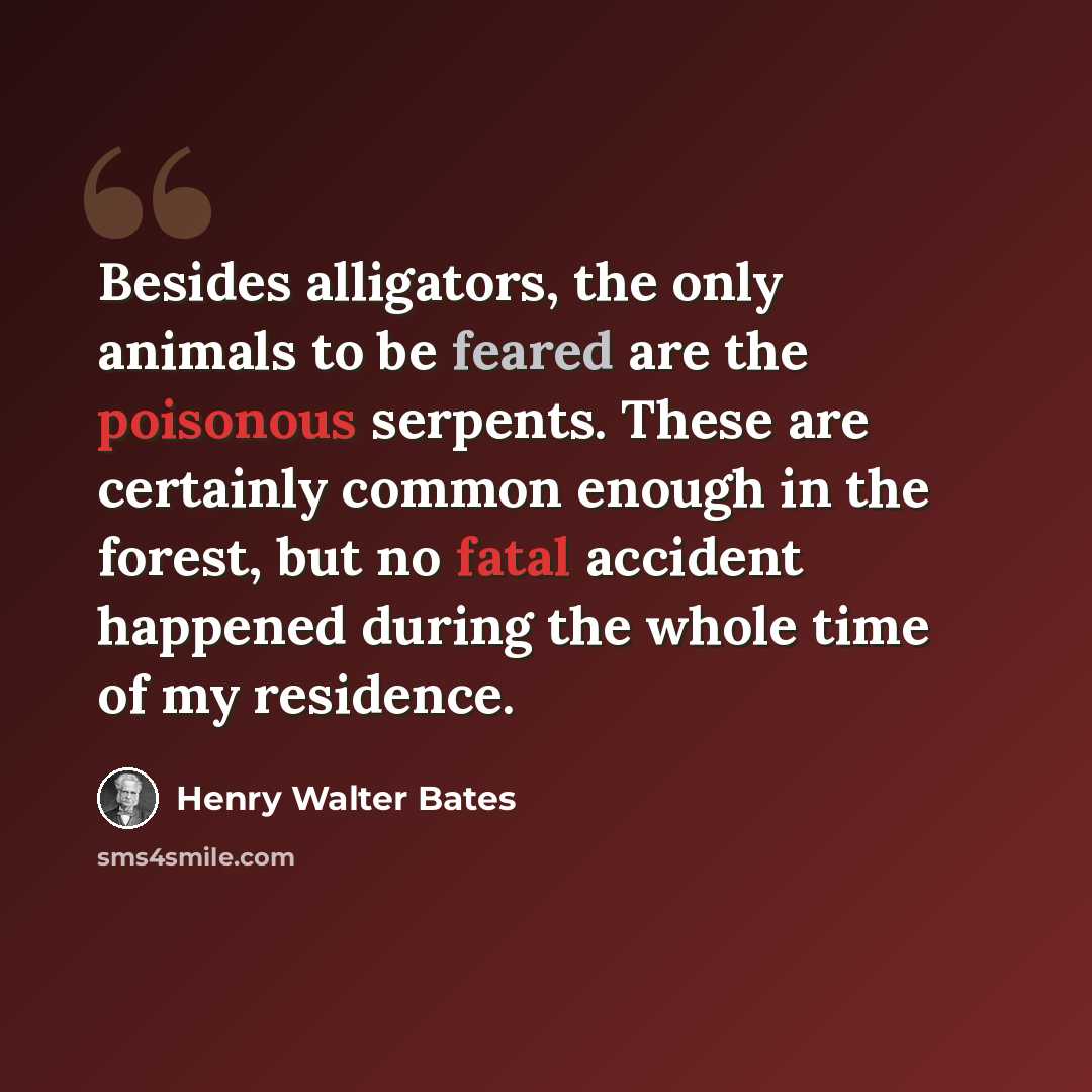 “Besides alligators, the only animals to be feared are the poisonous serpents. These are certainly common enough in the forest, but no fatal accident happened during the whole time of my residence.” quote by Henry Walter Bates