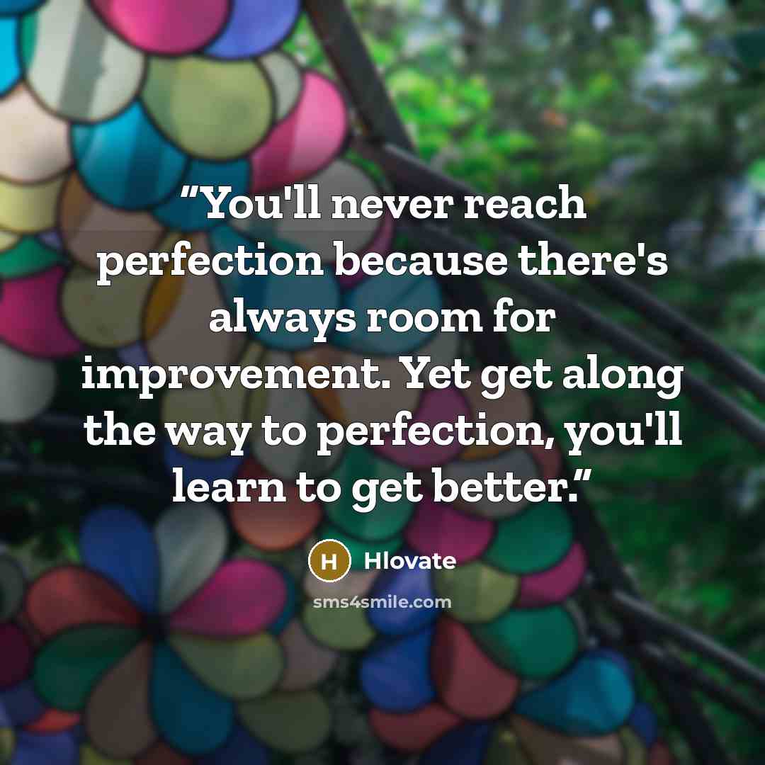 “You'll never reach perfection because there's always room for improvement. Yet get along the way to perfection, you'll learn to get better.” quote by Hlovate