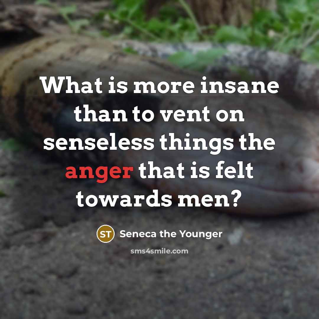 “What is more insane than to vent on senseless things the anger that is felt towards men?” quote by Seneca the Younger