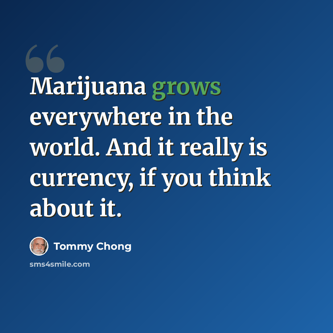 “Marijuana grows everywhere in the world. And it really is currency, if you think about it.” quote by Tommy Chong
