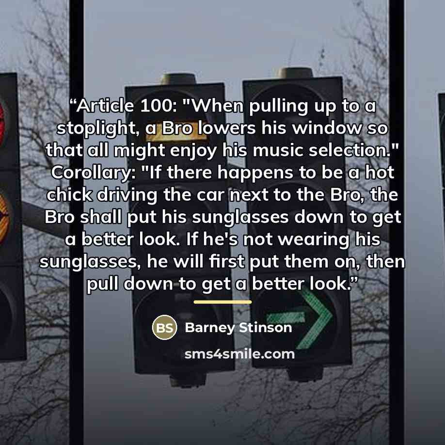 “Article 100: "When pulling up to a stoplight, a Bro lowers his window so that all might enjoy his music selection." Corollary: "If there happens to be a hot chick driving the car next to the Bro, the Bro shall put his sunglasses down to get a better look. If he's not wearing his sunglasses, he…” quote by Barney Stinson