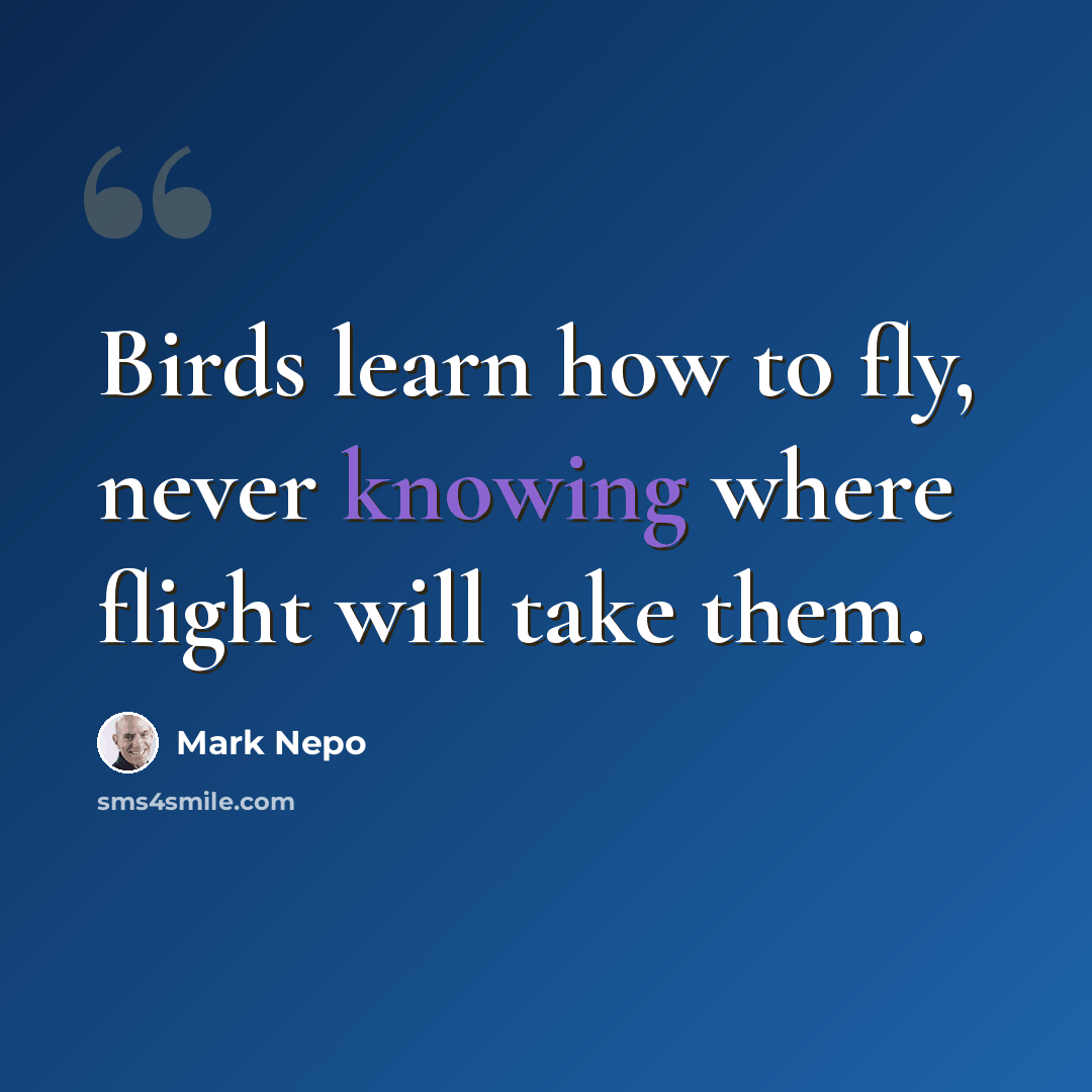“Birds learn how to fly, never knowing where flight will take them.” quote by Mark Nepo