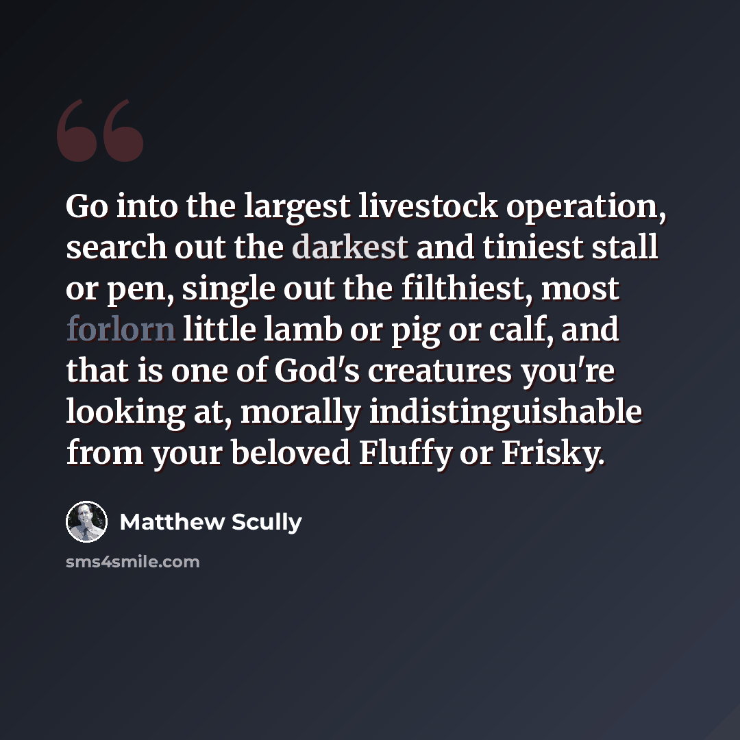 “Go into the largest livestock operation, search out the darkest and tiniest stall or pen, single out the filthiest, most forlorn little lamb or pig or calf, and that is one of God's creatures you're looking at, morally indistinguishable from your beloved Fluffy or Frisky.” quote by Matthew Scully