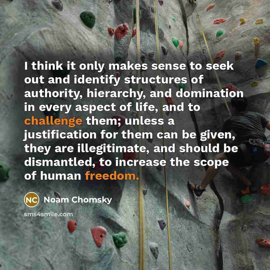 “I think it only makes sense to seek out and identify structures of authority, hierarchy, and domination in every aspect of life, and to challenge them; unless a justification for them can be given, they are illegitimate, and should be dismantled, to increase the scope of human freedom.” quote by Noam Chomsky