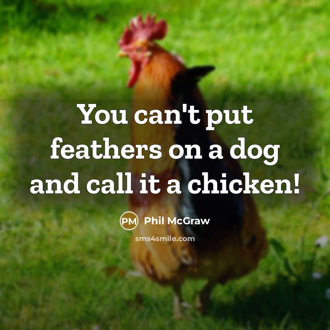 “You can't put feathers on a dog and call it a chicken!” quote by Phil McGraw