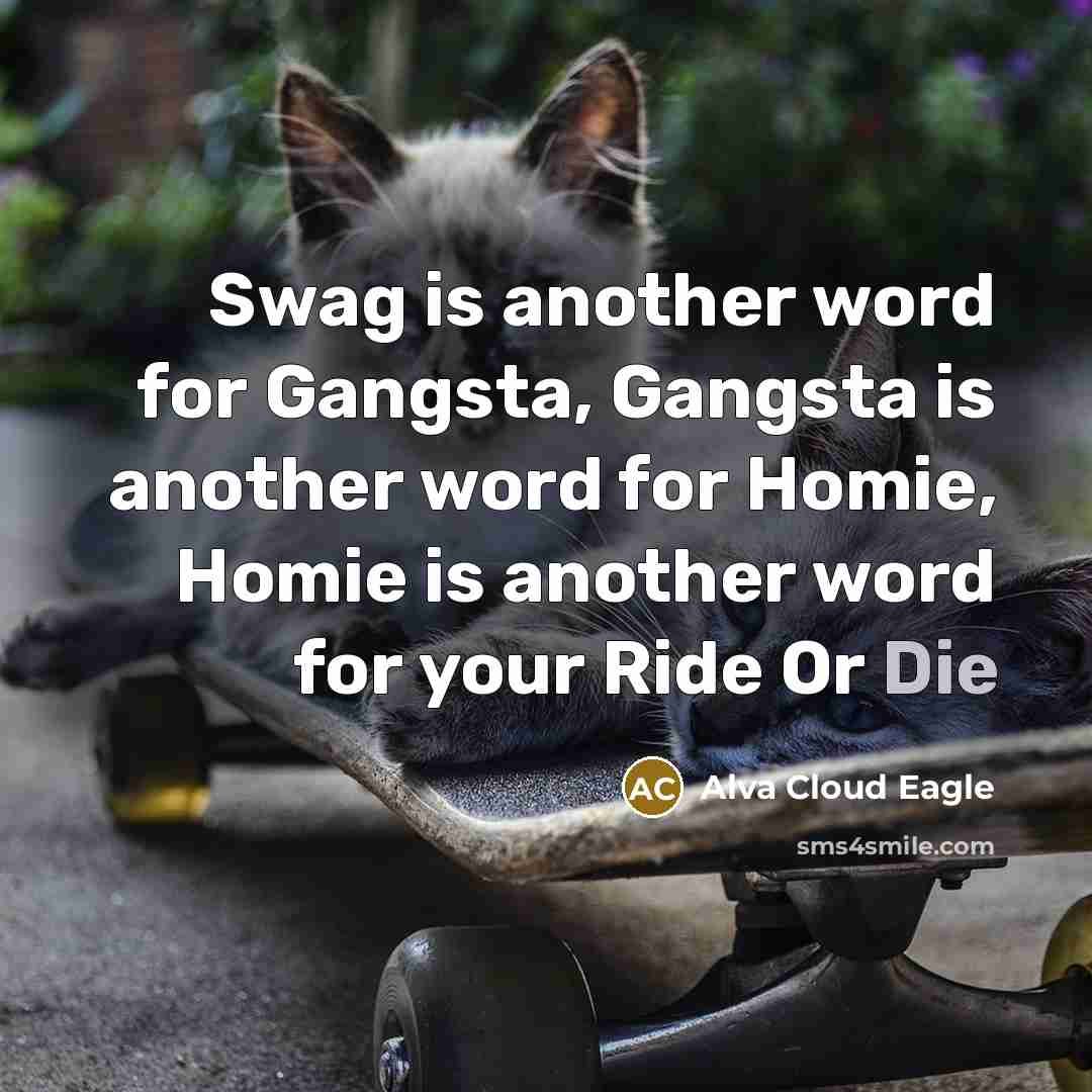 “Swag is another word for Gangsta, Gangsta is another word for Homie, Homie is another word for your Ride Or Die” quote by Alva Cloud Eagle