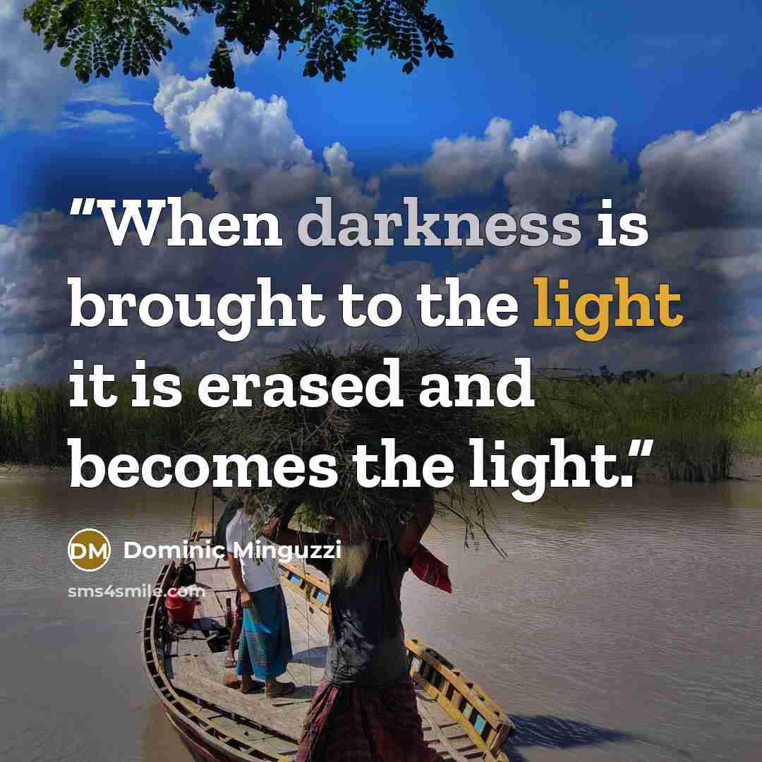 “When darkness is brought to the light it is erased and becomes the light.” quote by Dominic Minguzzi