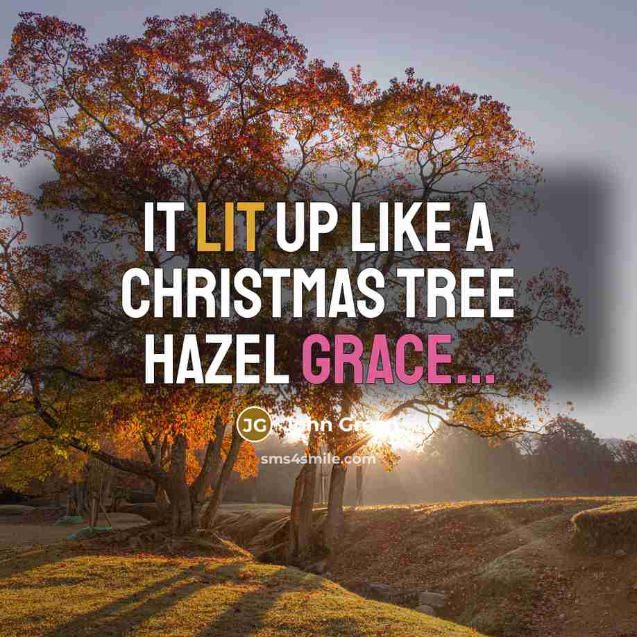 “It lit up like a Christmas Tree Hazel Grace...” quote by John Green