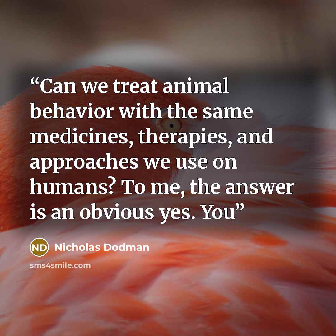 “Can we treat animal behavior with the same medicines, therapies, and approaches we use on humans? To me, the answer is an obvious yes. You” quote by Nicholas Dodman