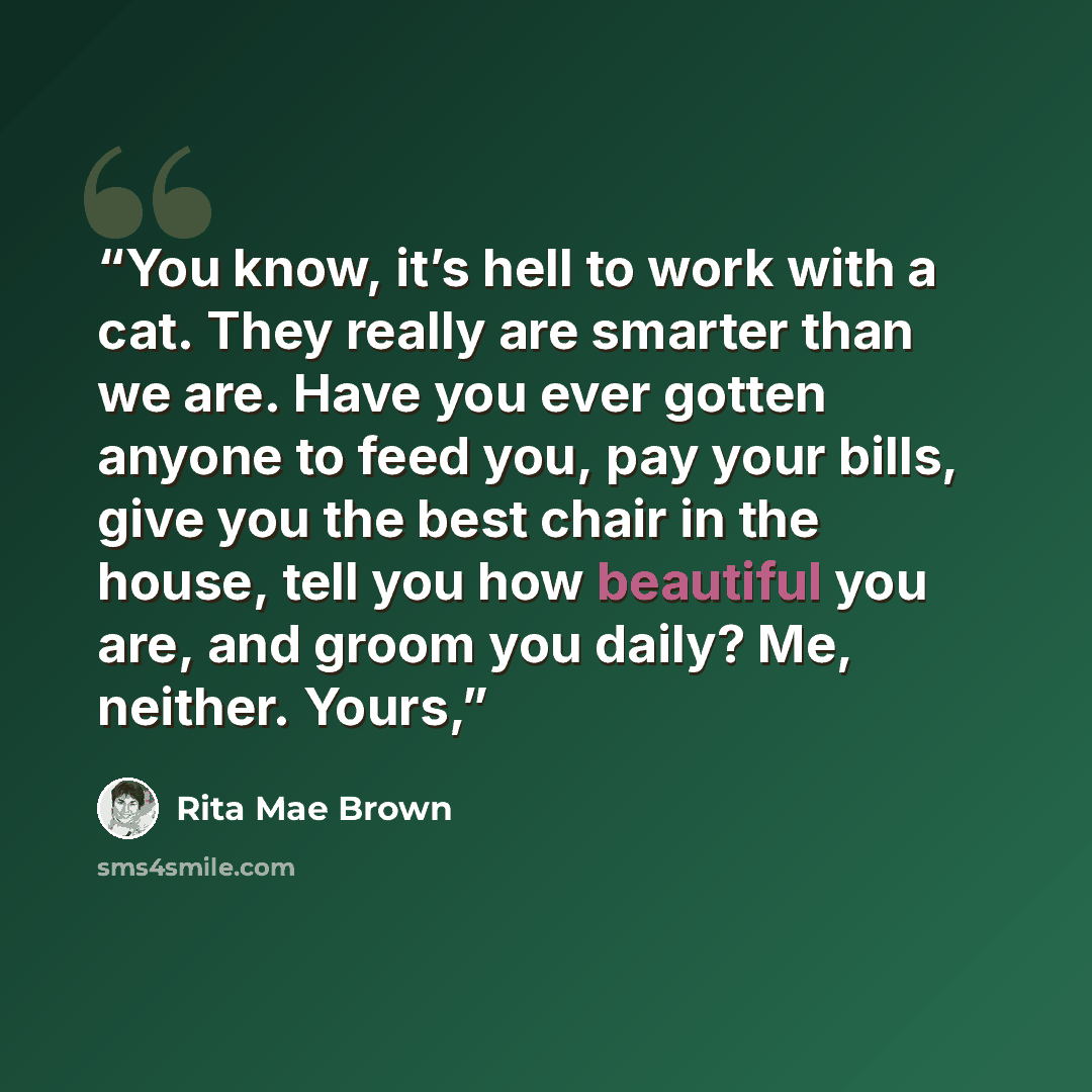 “You know, it’s hell to work with a cat. They really are smarter than we are. Have you ever gotten anyone to feed you, pay your bills, give you the best chair in the house, tell you how beautiful you are, and groom you daily? Me, neither. Yours,” quote by Rita Mae Brown