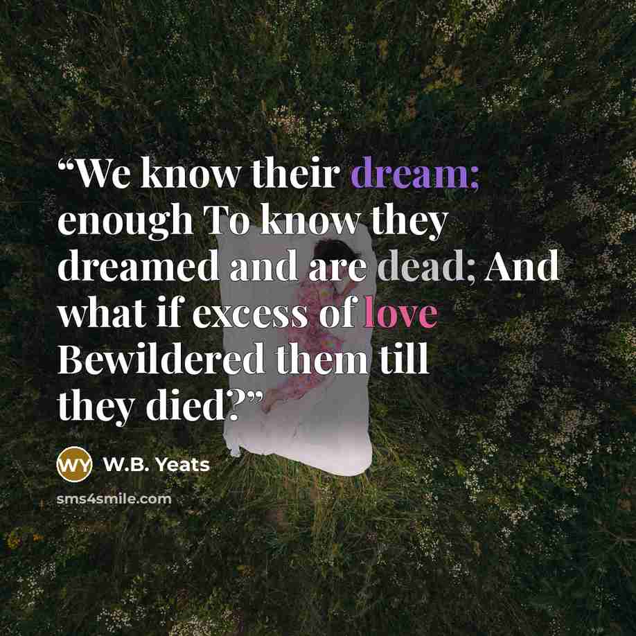 “We know their dream; enough To know they dreamed and are dead; And what if excess of love Bewildered them till they died?” quote by W.B. Yeats