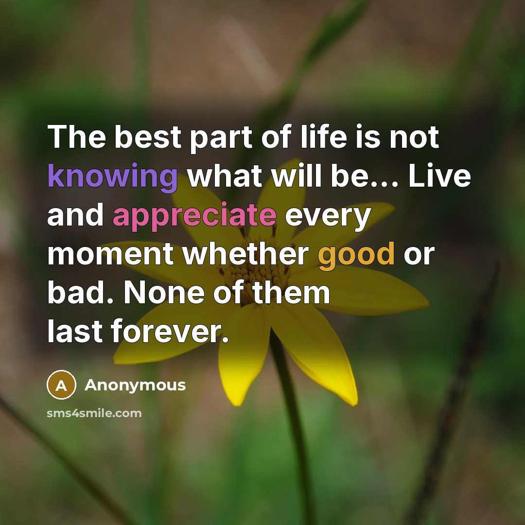 “The best part of life is not knowing what will be... Live and appreciate every moment whether good or bad. None of them last forever.” quote by Anonymous