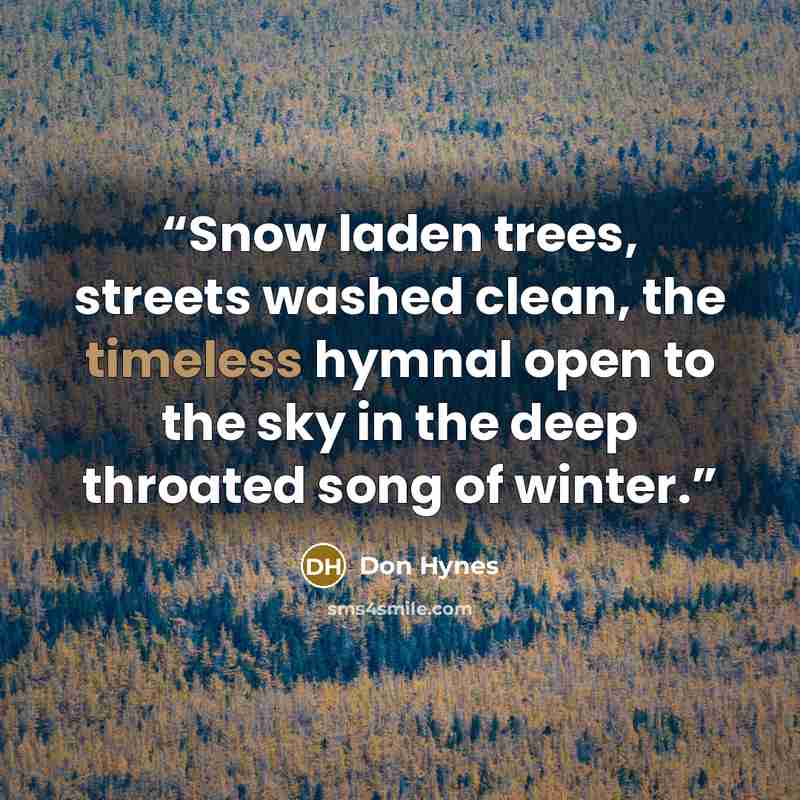 “Snow laden trees, streets washed clean, the timeless hymnal open to the sky in the deep throated song of winter.” quote by Don Hynes