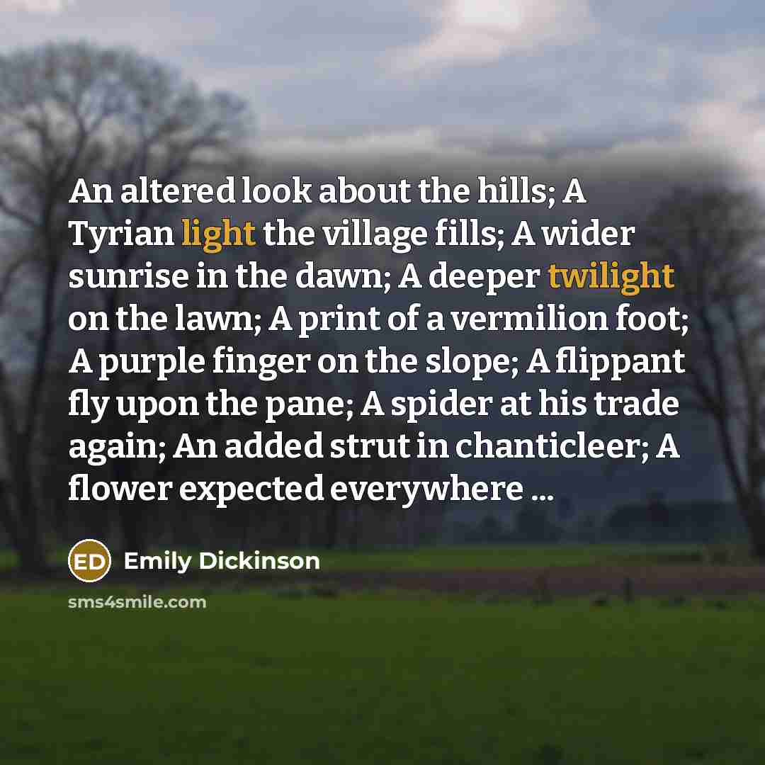 “An altered look about the hills; A Tyrian light the village fills; A wider sunrise in the dawn; A deeper twilight on the lawn; A print of a vermilion foot; A purple finger on the slope; A flippant fly upon the pane; A spider at his trade again; An added strut in chanticleer; A flower expected…” quote by Emily Dickinson