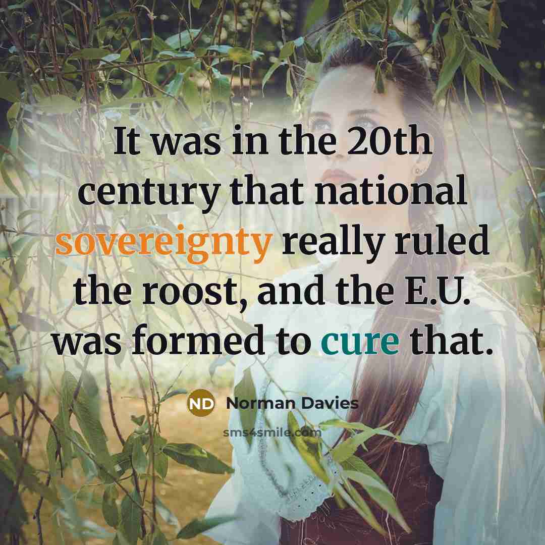 “It was in the 20th century that national sovereignty really ruled the roost, and the E.U. was formed to cure that.” quote by Norman Davies