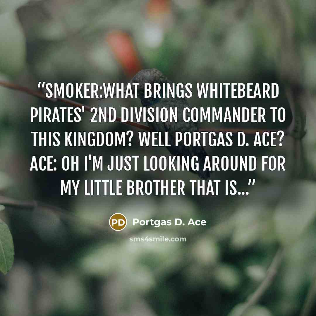 “Smoker:What brings Whitebeard Pirates' 2nd division commander to this kingdom? Well Portgas D. Ace? Ace: Oh I'm just looking around for my little brother that is...” quote by Portgas D. Ace